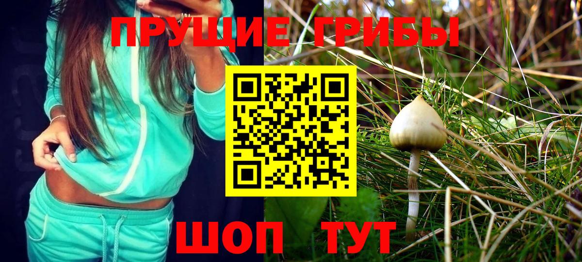 Галлюциногенные грибы MAGIC MUSHROOMS  Вход с VPN  Ачхой-Мартан 